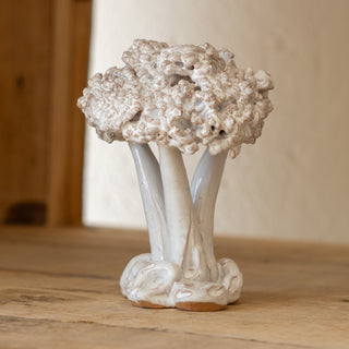 Small white olive tree
