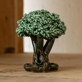 Small green olive tree