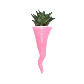 Horn plant holder light blue fuchsia dust