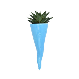 Turquoise plant holder horn