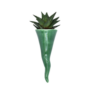 Green plant holder horn matera