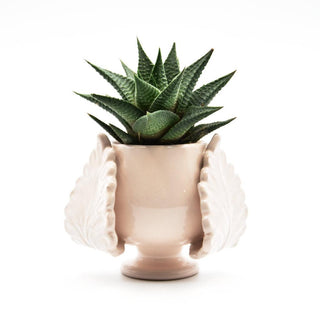 Pumo plant holder powder pink