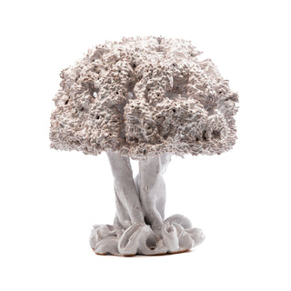 White olive tree 27cm