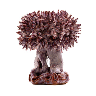 20cm iridescent pink olive tree